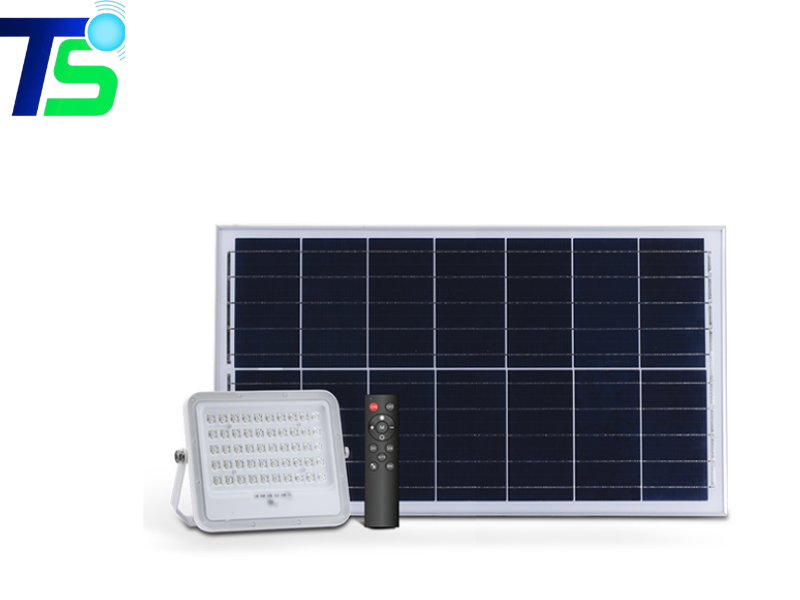 Đèn pha năng lượng mặt trời Rạng Đông 40W CP02.SL.RF